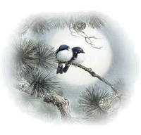 birds sleeping in a tree